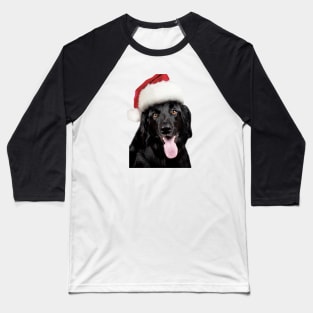 merry christmas dog Baseball T-Shirt